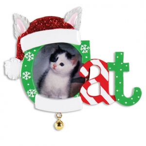 Christmas Cat Frame Personalised Christmas Decoration Ornament