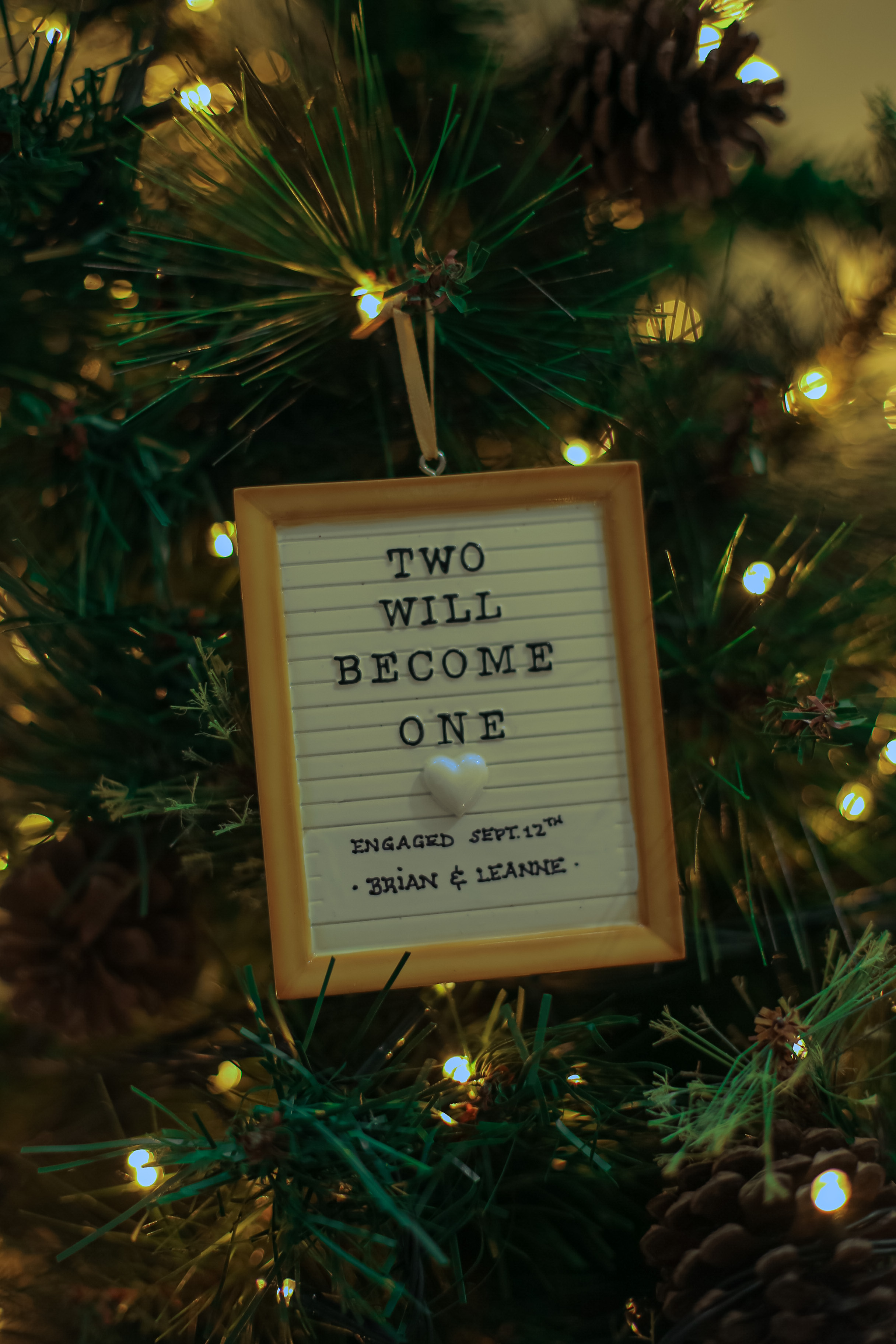 Two Will Become One Personalised Christmas Decoration